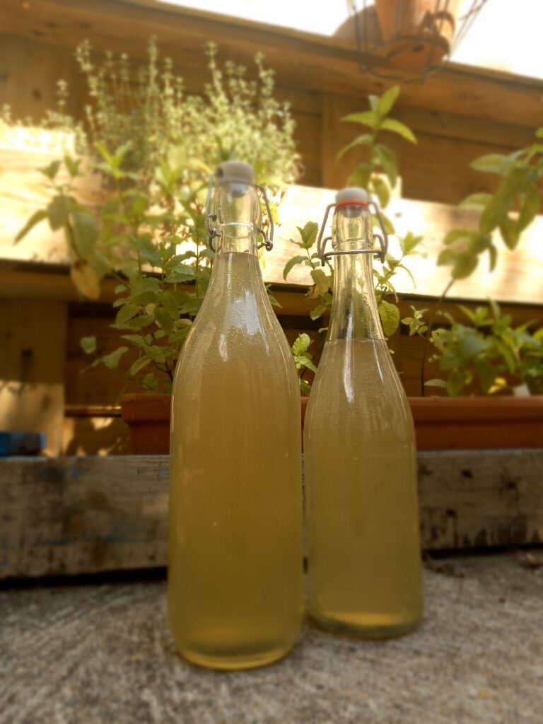la limonade qui pétille recette chloé collier